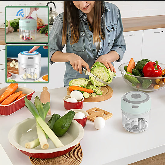 Mini Hachoir Électrique