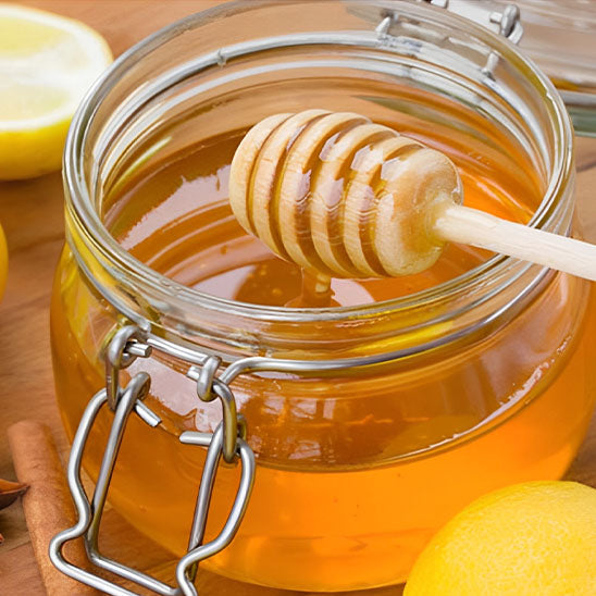 Cuillère à Miel 50 pièces