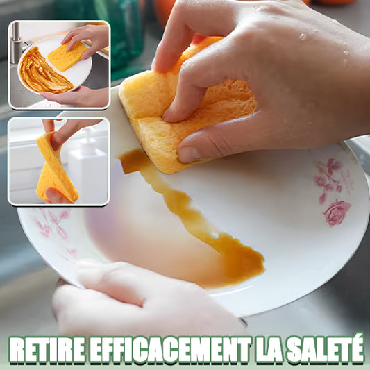 Éponge pour la Vaisselle 5 Pièces