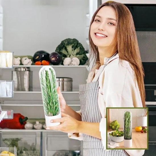 Boite de Conservation Alimentaire