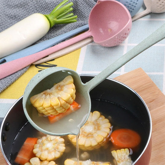 Louche Passoire 2 en 1