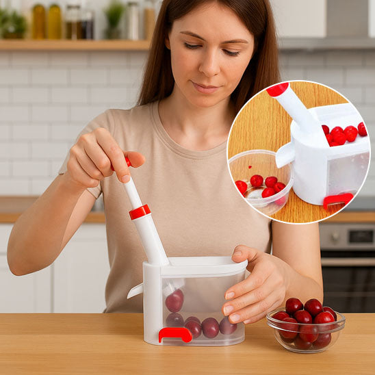 Machine d'Extraction de Graines de Cerises