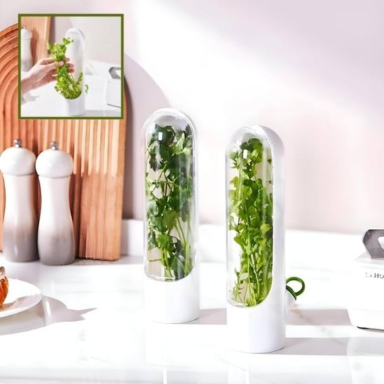 Boite de Conservation Alimentaire