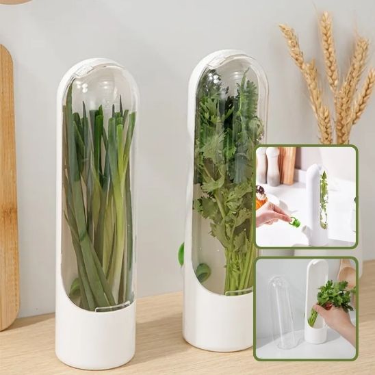 Boite de Conservation Alimentaire