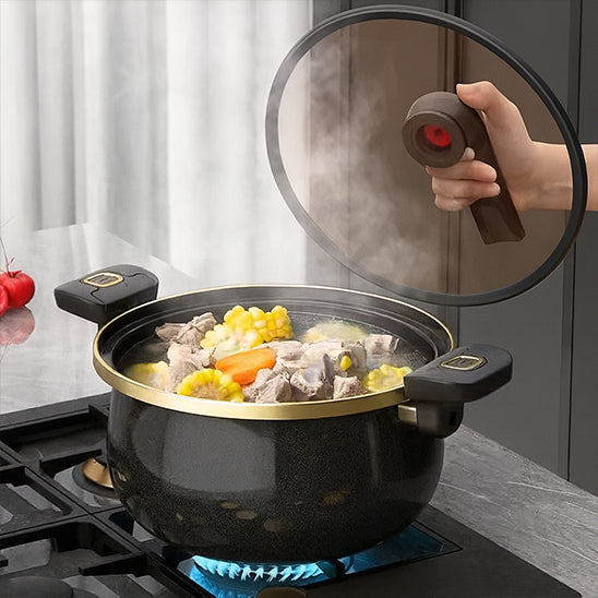 Marmite à Micro-Pression Domestique