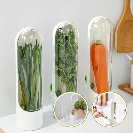 Boite de Conservation Alimentaire